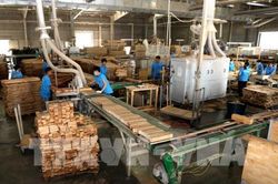 Điều tra chống lẩn tránh thuế phòng vệ thương mại với ngành gỗ có xu hướng tăng