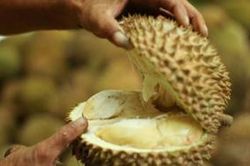 Gói hàng 4 quả sầu riêng khiến hàng chục người sơ tán