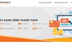 Ngân Lượng tiến vào mảng thanh toán dịch vụ hành chính công