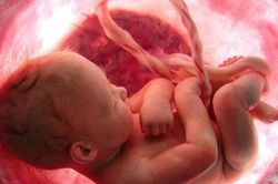 Em bé có biết nằm mơ từ trong bụng mẹ?
