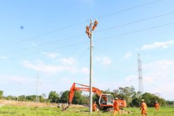 Điện lực diễn tập phòng chống thiên tai và tìm kiếm cứu nạn