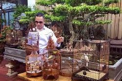 Mãn nhãn với bộ sưu tập chim quý hiếm, giá khủng của vua chim màu Việt