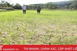 Giếng trơ đáy, đồng nứt toang ở xã miền núi Hà Tĩnh