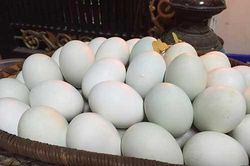 Bí quyết 'luyện' vịt nuôi đẻ hai trứng trong một ngày