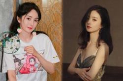 Cuộc đấu trực diện ngang sức ngang tài giữa Dương Mịch và Triệu Lệ Dĩnh khi cùng hợp tác trong phim của Trương Nghệ Mưu?