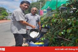 Hiệu quả mô hình phân loại rác tại nguồn