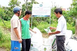 Bảo vệ môi trường cho vùng sản xuất lớn