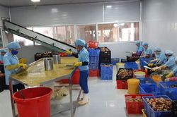 Mang Yang: Phát triển và nâng tầm sản phẩm OCOP
