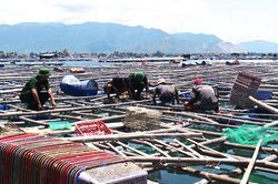 Đồn Biên phòng Vạn Hưng: Đẩy mạnh công tác vận động quần chúng