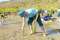Khởi động chiến dịch tình nguyện hè