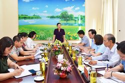 Lãnh đạo Ủy ban Trung ương MTTQ Việt Nam làm việc với Ủy ban MTTQ tỉnh