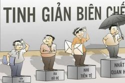 Người lao động phải làm gì khi bị tinh giản biên chế sai đối tượng?