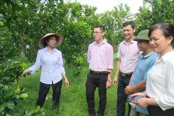 Người tổ trưởng tổ tiết kiệm và vay vốn tận tâm với công việc