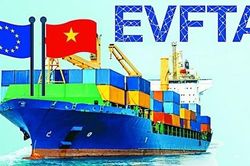 Đề xuất Biểu thuế xuất nhập khẩu ưu đãi của Việt Nam để thực hiện EVFTA