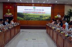 Phát động hội thi 'Tìm hiểu pháp luật về lâm nghiệp'