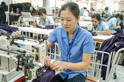 Cấp ngay C/O cho hàng Việt đi châu Âu