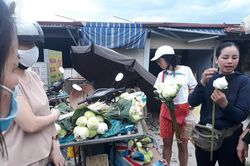Tết Đoan ngọ sen trắng cháy hàng, 100 ngàn/bó khách tranh nhau
