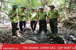 Thả cá thể rùa quý hiếm, nặng 17 kg về với Khu Bảo tồn Thiên nhiên Kẻ Gỗ