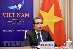 Việt Nam dự phiên họp trực tuyến của HĐBA về tình hình Trung Đông
