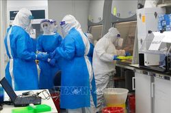 Israel phát triển lớp phủ khử trùng bề mặt để phòng virus SARS-CoV-2