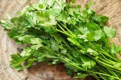 Chuyên gia chỉ ra những người sau tuyệt đối không nên ăn rau mùi