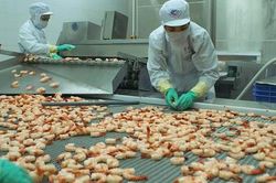 Ban hành Thông tư quy định quy tắc xuất xứ trong Hiệp định EVFTA
