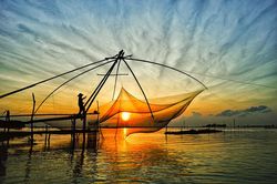 Nửa đời mải ngược bến sông Mơ