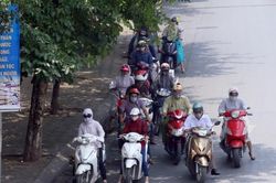 Thư gửi robot Citizen: 'Những con đường trải dài bóng mát…'
