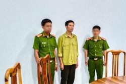 Điều tra vụ phá rừng, cán bộ bảo vệ rừng bị bắt