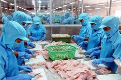 Tiếp cận toàn diện thị trường EU: Thách thức lớn nhất là chi phí tuân thủ