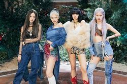Truy tìm những thành viên hụt của BLACKPINK, liệu có thành công như người được chọn?