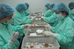 Việt Nam thử nghiệm thành công vaccine Covid-19 trên chuột