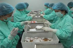 Việt Nam thử nghiệm thành công vaccine Covid-19 trên chuột