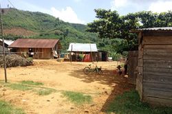 Tây Nguyên loay hoay với bạch hầu bùng phát