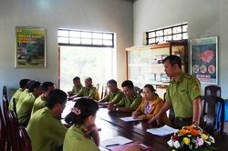 Áp lực giữ màu xanh đại ngàn