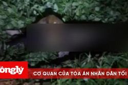 Phát hiện một phụ nữ chết cháy trong công viên