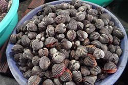 Đặc sản Phú Yên khiến du khách nức nở khen ngon