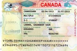 Chương trình thị thực của Canada 'hút' lao động nước ngoài vào mảng công nghệ