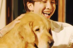 Chết cười với thói tật của RM BTS khi có tí men trong người