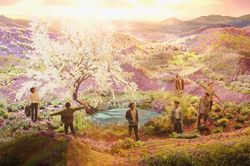 ARMY ngã ngửa khi biết sự thật về cánh đồng đẹp mê hồn trong 'Stay Gold' của BTS