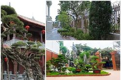 Đại gia Việt 'chơi lớn', xây sân vườn bên trong biệt thự như tiên cảnh