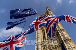 Khoảng 33% doanh nghiệp Đức dự kiến Brexit 'không thỏa thuận' sẽ xảy ra