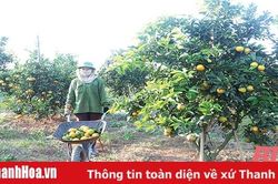 'Dân vận khéo' để giúp đồng bào dân tộc giảm nghèo bền vững