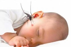 Chăm sóc trẻ bị sốt xuất huyết tại nhà đúng cách