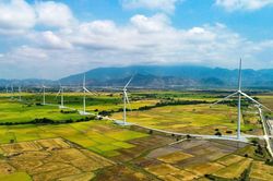 Cánh đồng quạt gió đẹp như trời Tây ở Ninh Thuận nhìn từ trên cao