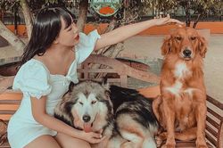 Những góc check-in lạ mắt thu hút giới trẻ ở Đà Lạt
