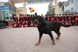 Cười ngất với 'người lạ' không học chung nhưng cứ muốn chụp cùng kỷ yếu