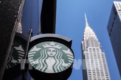 Starbucks sẽ dừng chạy quảng cáo trên các phương tiện truyền thông xã hội