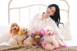 Sĩ Thanh hóa tiểu thư, chụp ảnh cùng đàn cún 'trăm triệu' quá sức đáng yêu