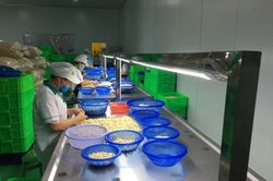 Cơ hội mới cho công nghiệp chế biến từ EVFTA